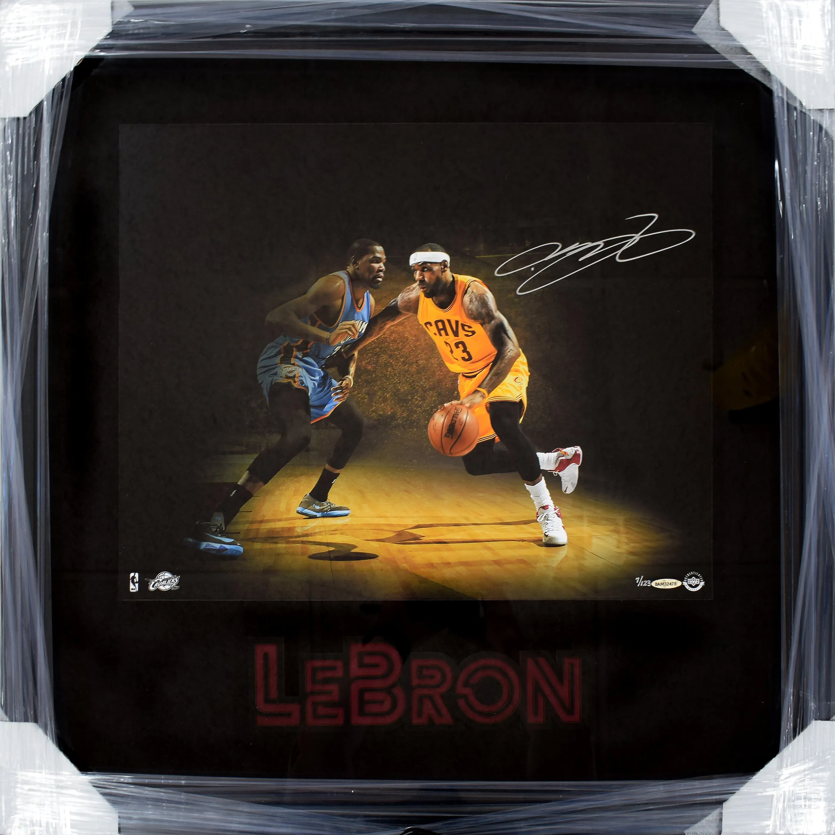 LeBron James 16x20, Signed